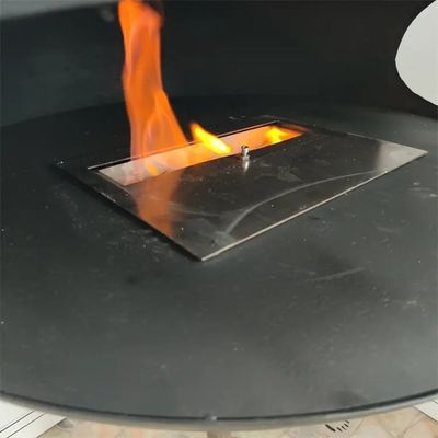 Customized Indoor Roof Mounted Cocoon Ethanol Burning Hanging Bioethanol Fireplace